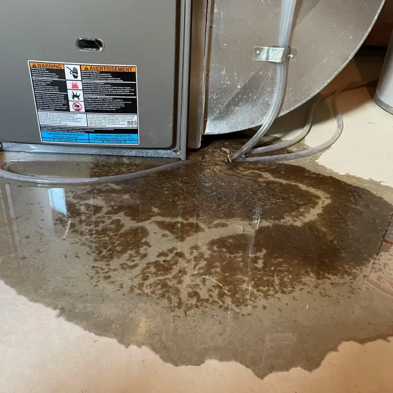 Appliance Leak Cleanup in Independence, KS